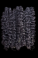 Burmese Bundles