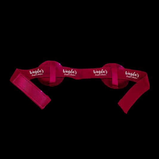 Barb Ear Protection Lace Bands